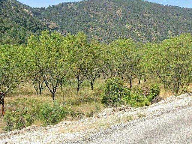 Güney, Denizli içerisinde satılık Arsa