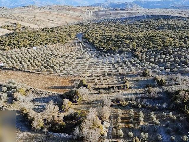 Adamharmanı, Kale içerisinde satılık mülk