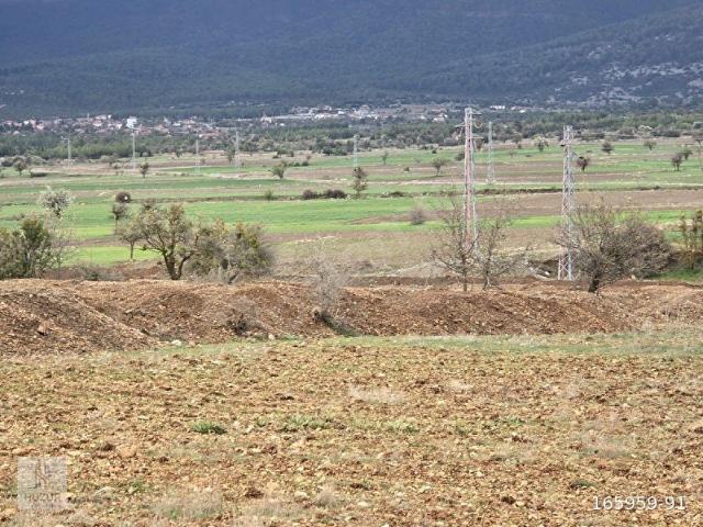 Tavas, Denizli içerisinde satılık Arsa