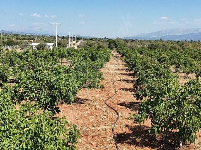Karahisar, Tavas içerisinde satılık Arsa