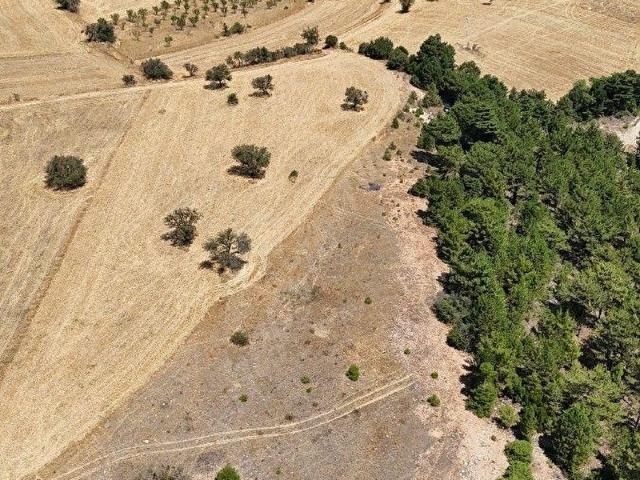 Pınarlık, Tavas içerisinde satılık Arsa