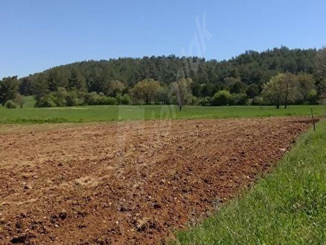 Muğla içerisinde satılık Arsa