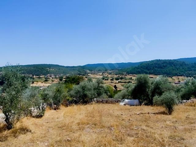 Muğla içerisinde satılık Arsa