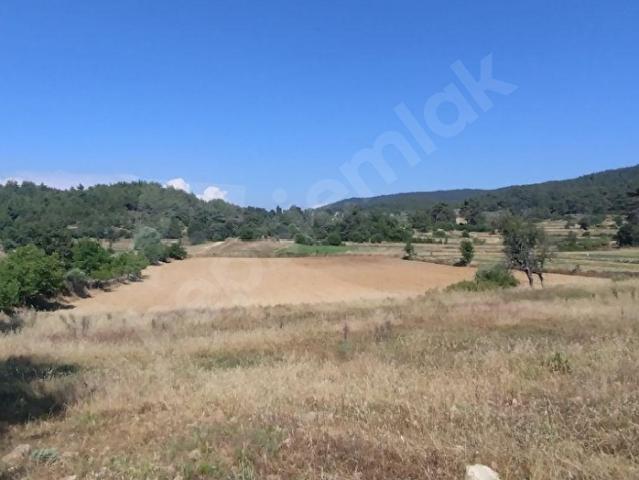 Muğla içerisinde satılık Arsa