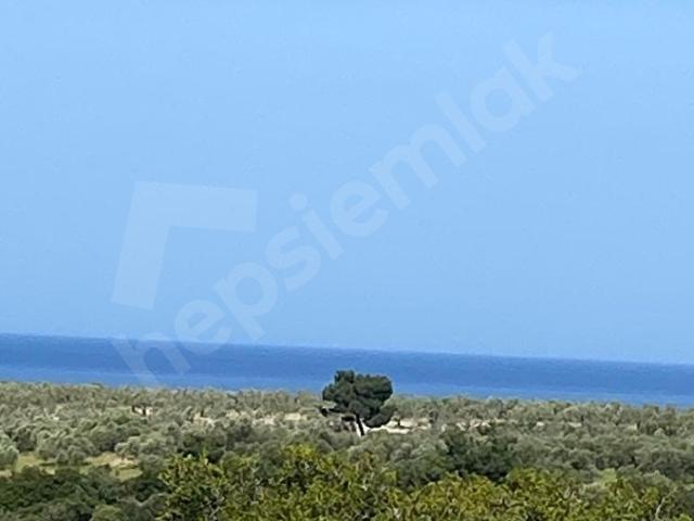 Gülpınar, Ayvacık içerisinde satılık mülk