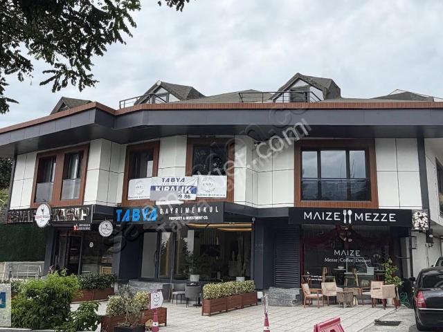Sariyer, İstanbul içerisinde kiralık mülk