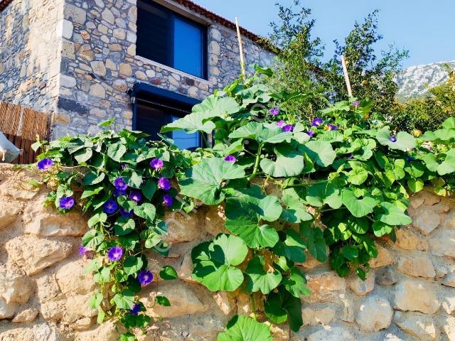 Anbarseki Mahallesi, Karaburun içerisinde satılık Villa