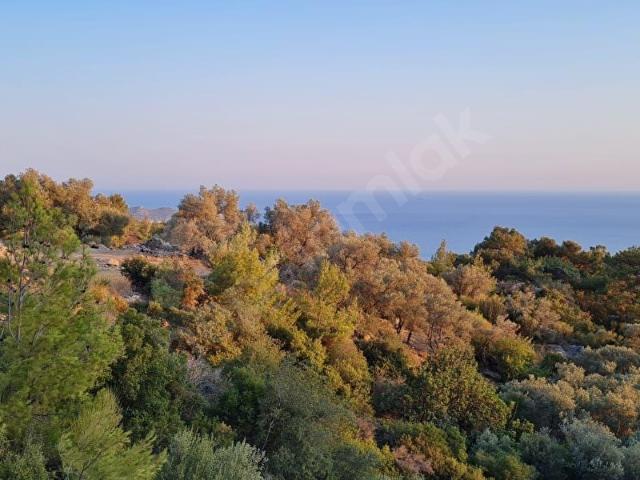 Kaş, Antalya içerisinde satılık Arsa