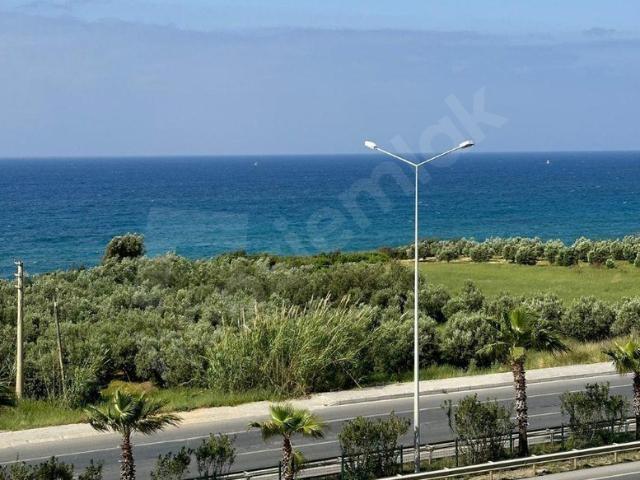 Okurcalar, Alanya içerisinde satılık mülk