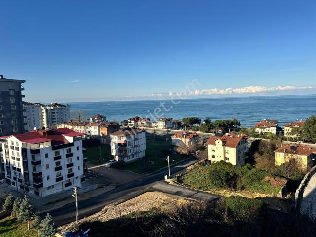Ordu içerisinde satılık mülk