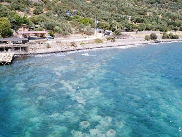 İskele, Ayvacık içerisinde satılık Arsa
