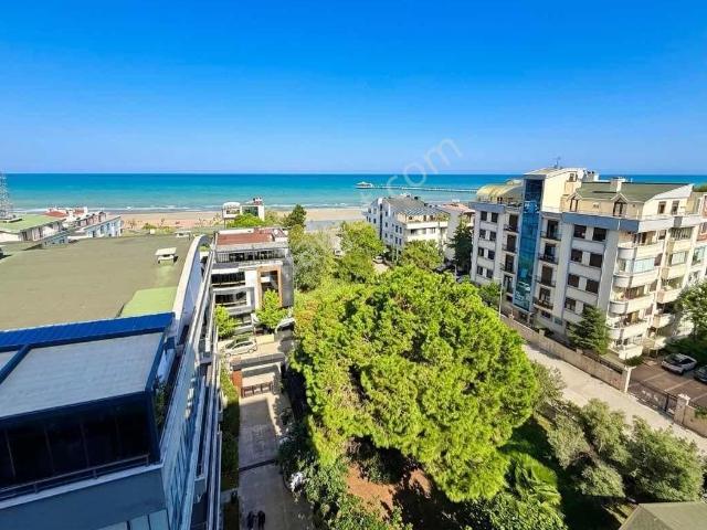 Atakum, Samsun içerisinde satılık mülk