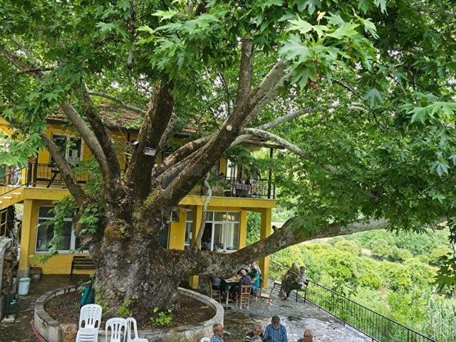 Milas, Muğla içerisinde satılık Arsa