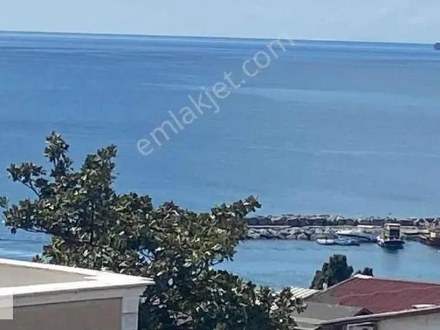 Avcilar, İstanbul içerisinde kiralık mülk