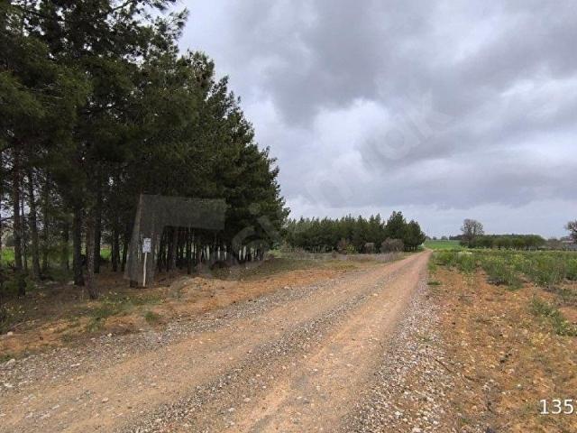 Akalan, Acıpayam içerisinde satılık Arsa