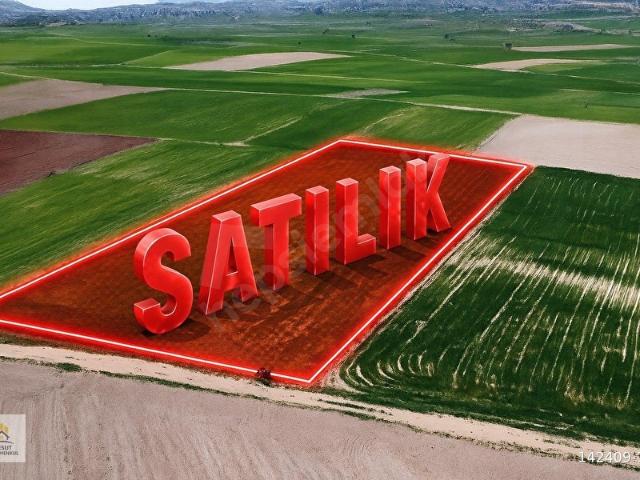 Çal, Denizli içerisinde satılık Arsa