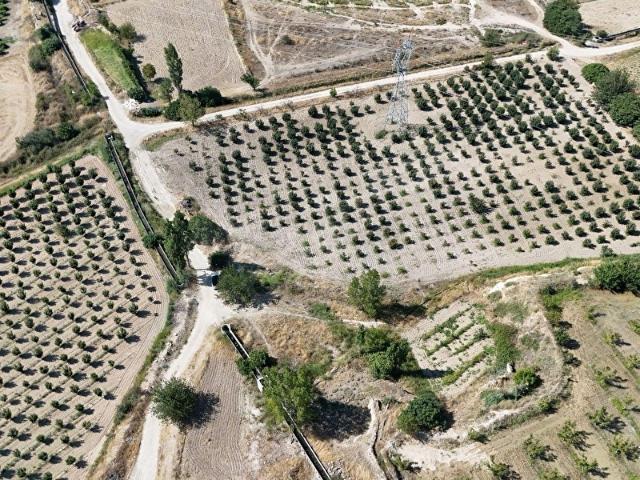 Çal, Denizli içerisinde satılık Arsa
