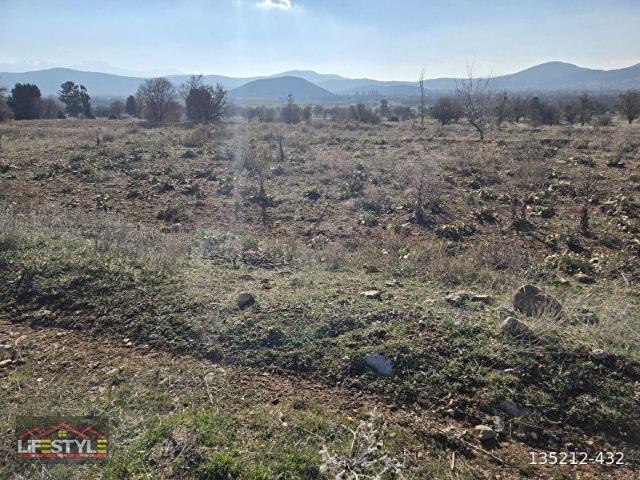 Aydoğdu, Tavas içerisinde satılık Arsa
