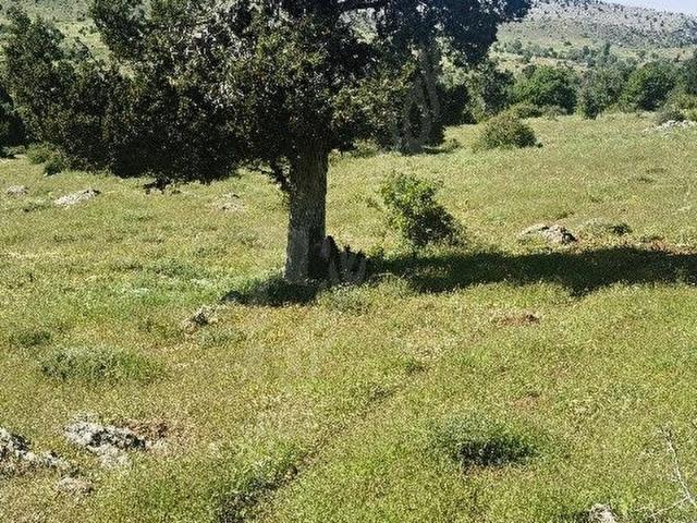Aydoğdu, Tavas içerisinde satılık mülk