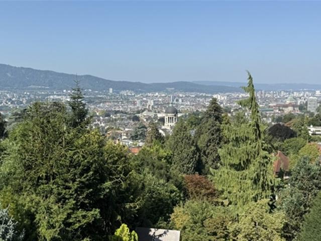 Einfamilienhaus kaufen in Einigen, Zürich