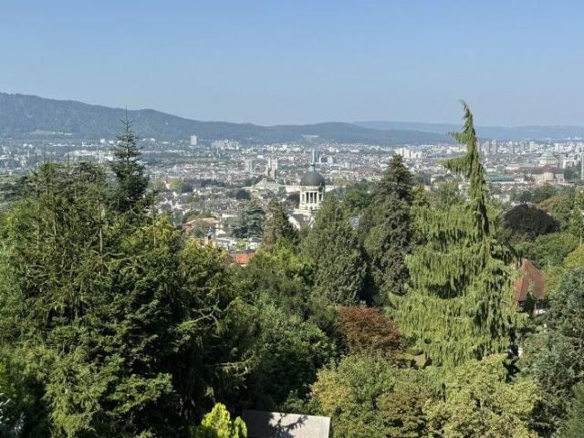 Einfamilienhaus kaufen in Einigen, Zürich