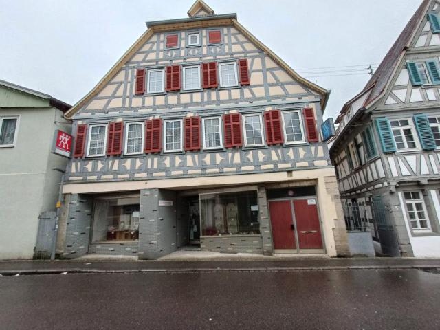 Haus kaufen in Vaihingen an der Enz