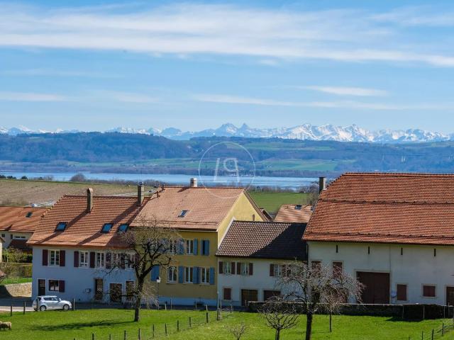 Immobilie kaufen in Bonvillars, Waadt