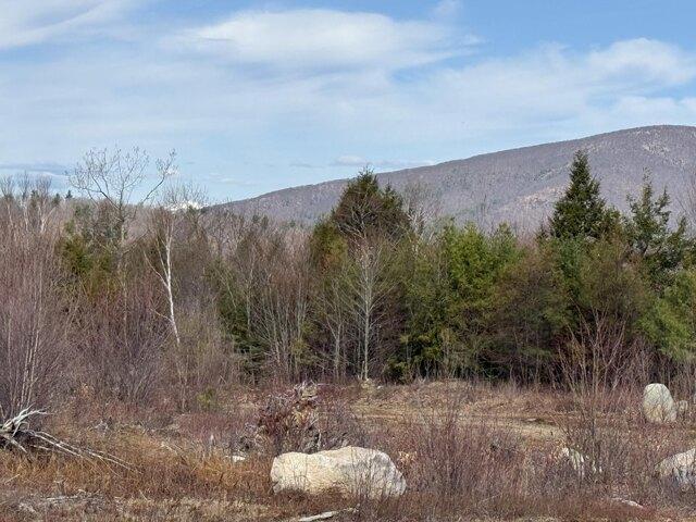Land for sale in Denmark, Maine