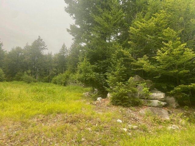 Land for sale in Hiram, Maine