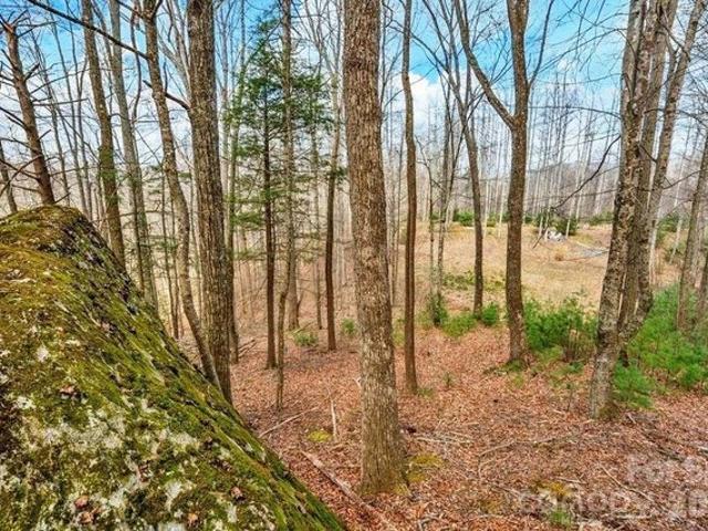 Land for sale in Watauga, North Carolina