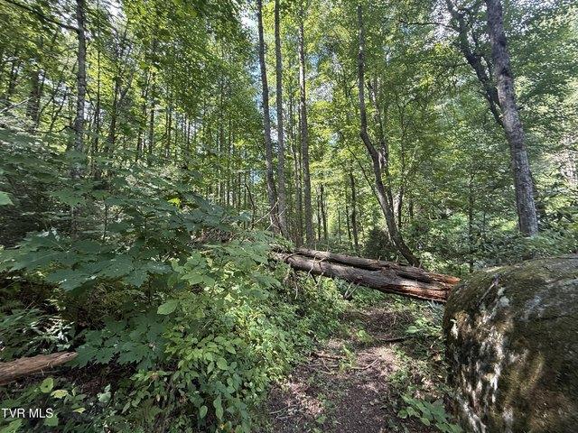 Land for sale in Hampton, East Tennessee