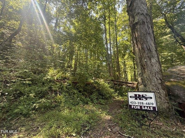 Land for sale in Tennessee