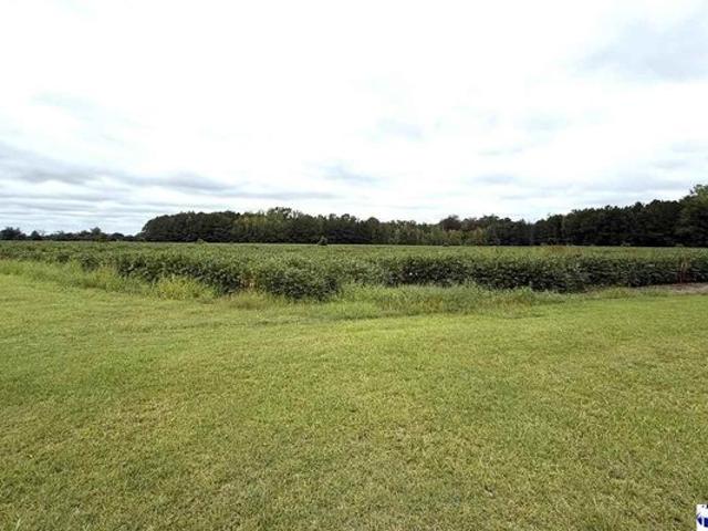 Land for sale in Hemingway, South Carolina