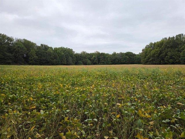 Land for sale in Smiths Grove, Warren County