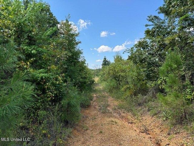 Land for sale in Brookhaven