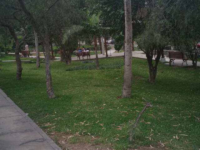 Departamento alquiler en Rinconada, Lima Metropolitana