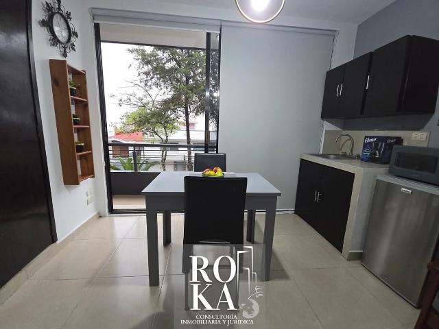 Departamento en renta en Xalapa
