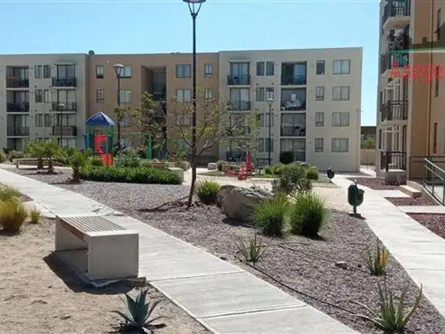 Departamento en arriendo en Caldera, Provincia de Copiapó