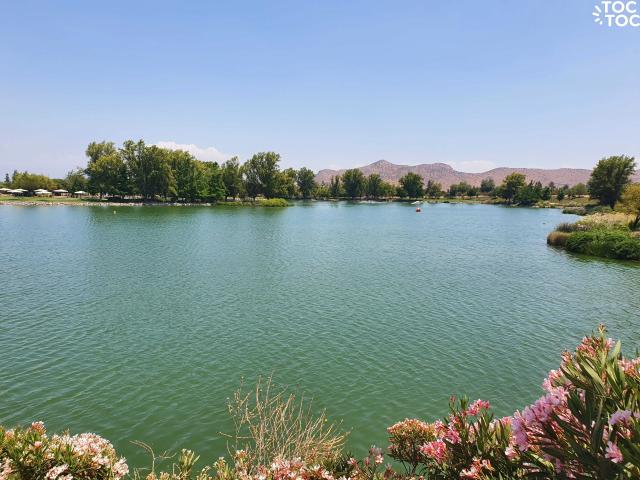 Departamento en arriendo en Algarrobal, Metropolitana