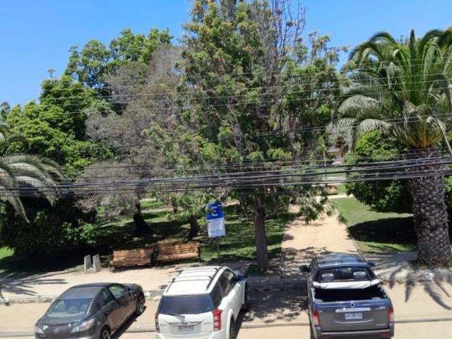 Departamento en Papudo