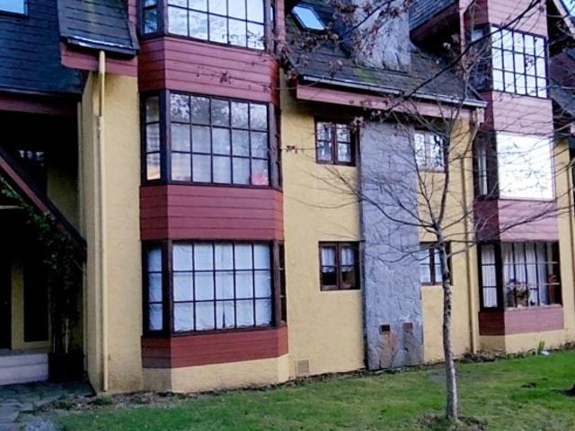Departamento en Pucón