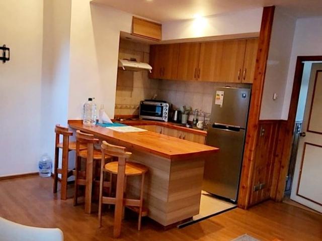 Departamento en Pucón