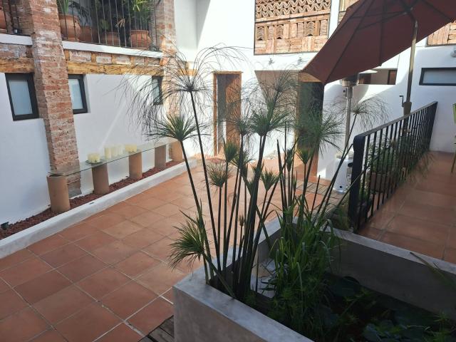 Departamento en renta en Ixtacuixtla De Mariano Matamoros, Tlaxcala