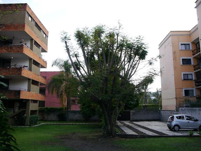 Departamento en renta en Morelos