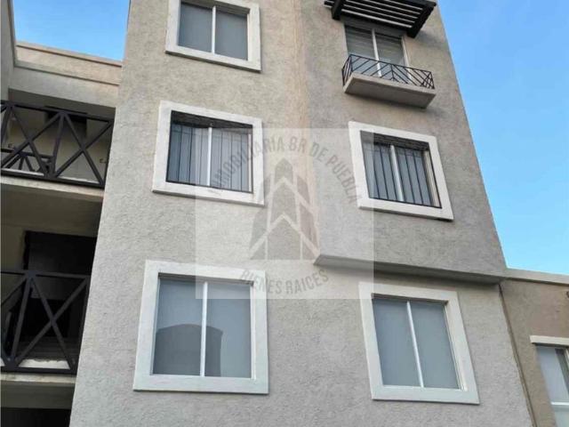 Departamento en renta en La Joya de Santiago Mextla, Los Encinos
