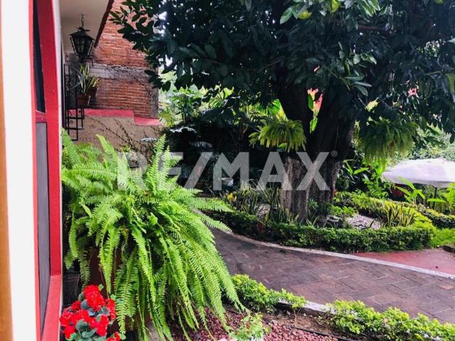 Departamento en renta en Oaxaca De Juárez, Oaxaca
