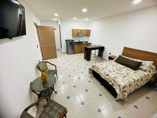 Departamento en renta en Aguascalientes, Municipio de Aguascalientes