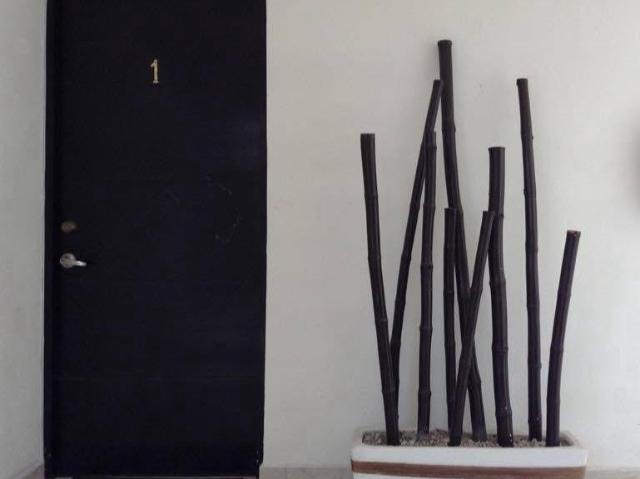 Departamento en renta en Oaxaca, Oaxaca de Juárez