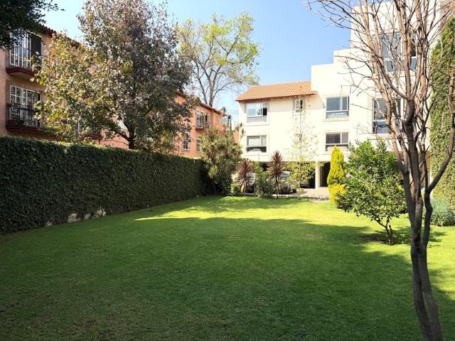 Departamento en renta en Colonia Toriello Guerra, Ciudad de México