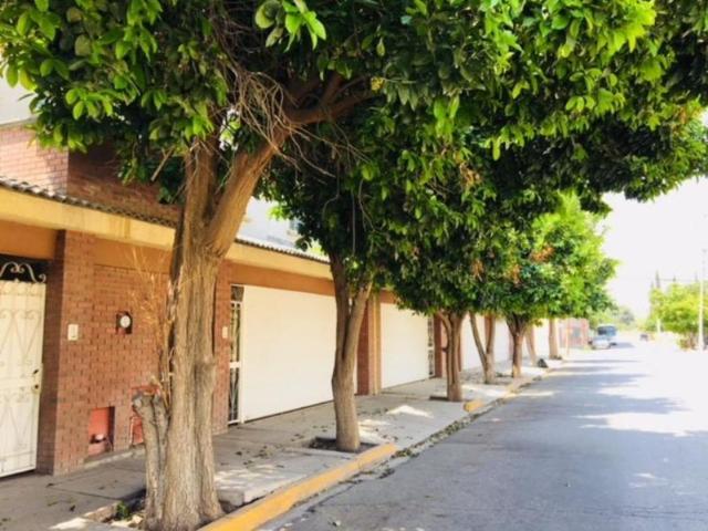 Departamento en renta en Torreón, Coahuila